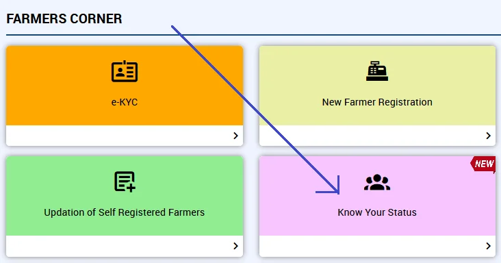 PM Kisan Status